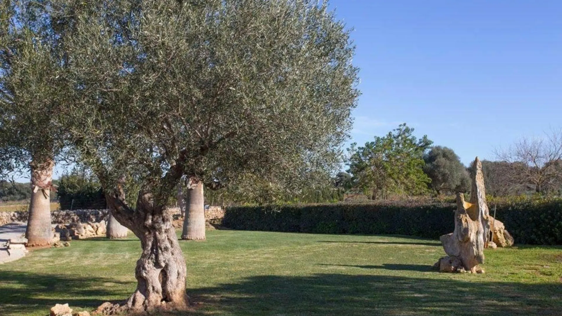 Ferienhaus Mit Privatpool Fuer 8 Personen Ca 160 Qm In Muro, Mallorca Nordkueste Von Mallorca